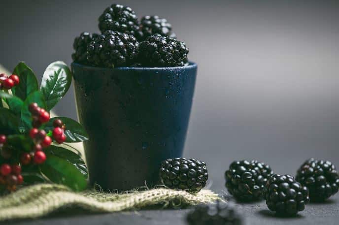 What are the benefits of mulberry syrup?